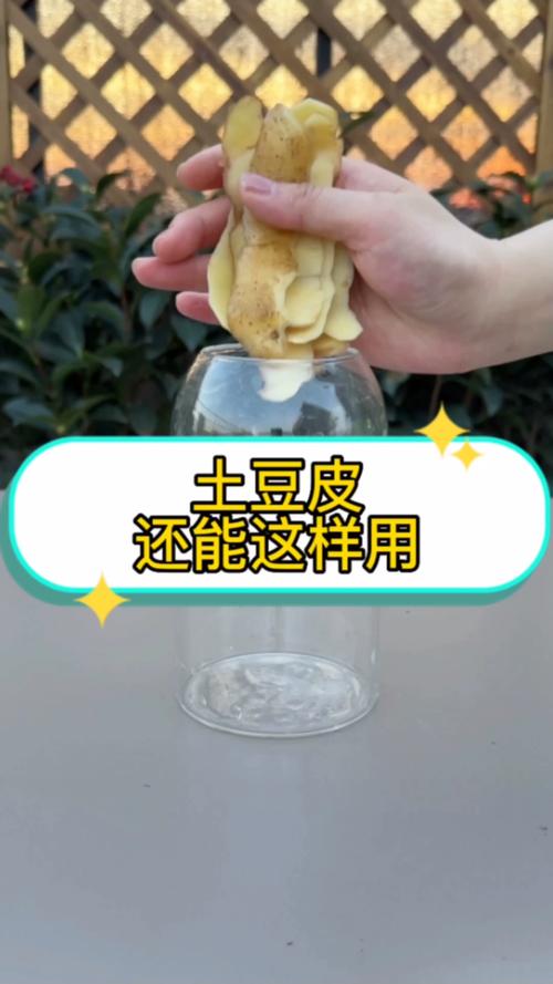 园艺农作物种植技巧 从选种到收获，打造高效农村园艺生活